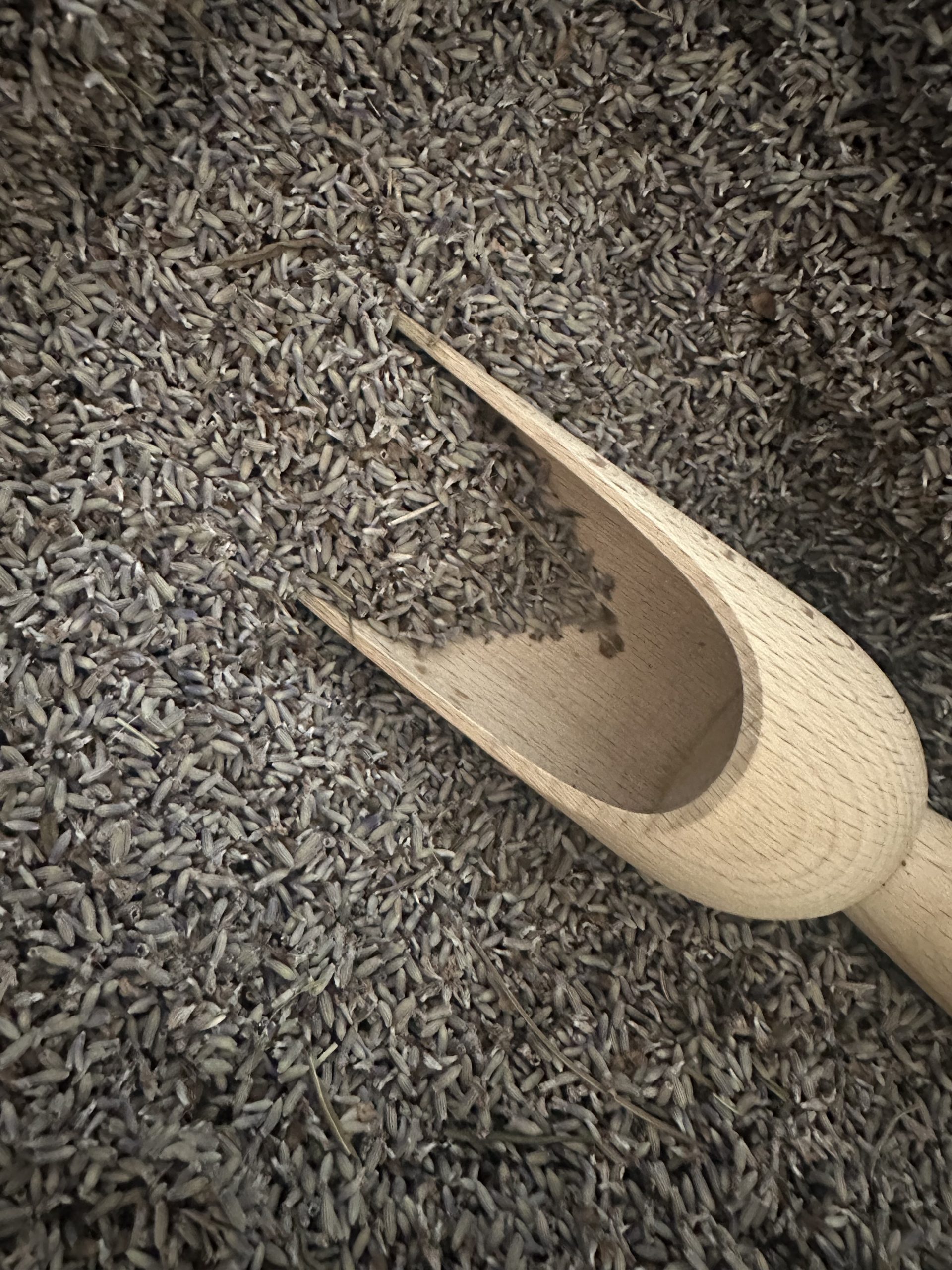 Loose dried lavender - Image 2
