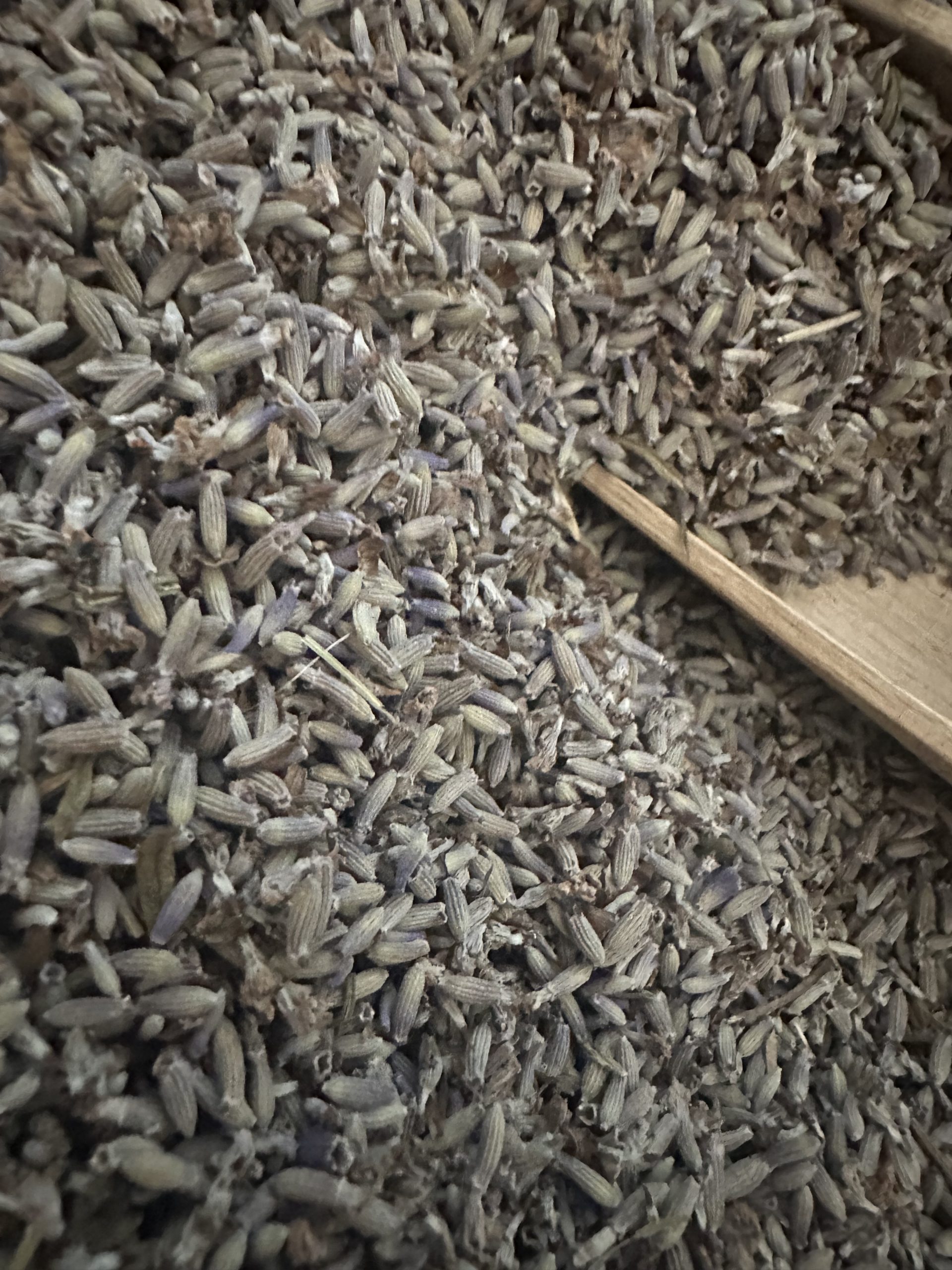 Loose dried lavender - Image 3